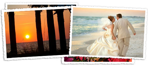Florida Beach Weddings and gorgeous sunsets, we have everything you need to make memories