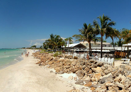 Enjoy cocktails and seafood at our beachfront restaurant, Anna Maria Island