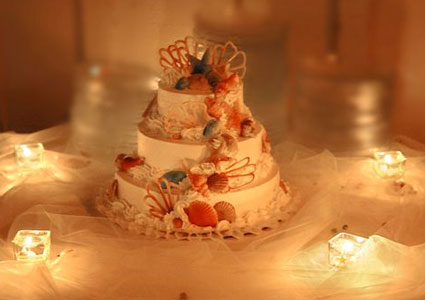 Weddings Cakes on Anna Maria Island