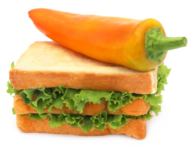 When Does Panera Sell Turkey Cranberry Sandwich? When Does Panera Sell Turkey Cranberry Sandwich?