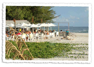 The Sandbar Restaurant, great food right on the beach