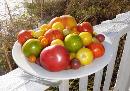 Gamble Creek Farm tomatoes