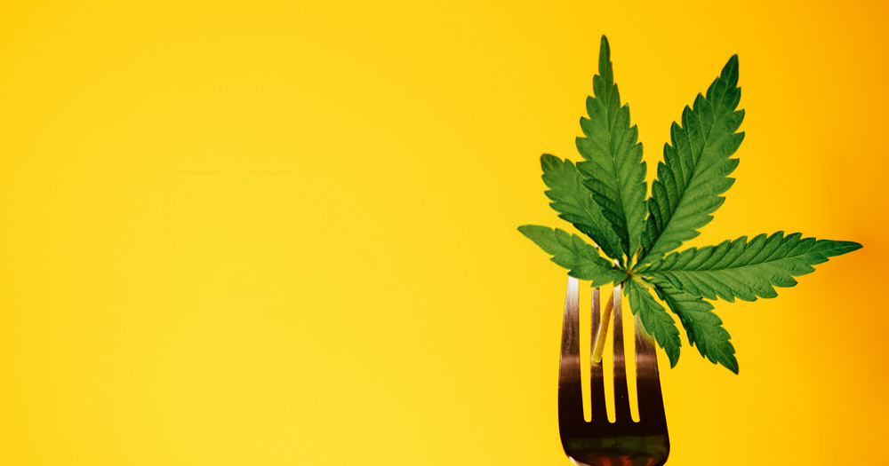 7 Tasty and Easy to Make CBD Infused Meals